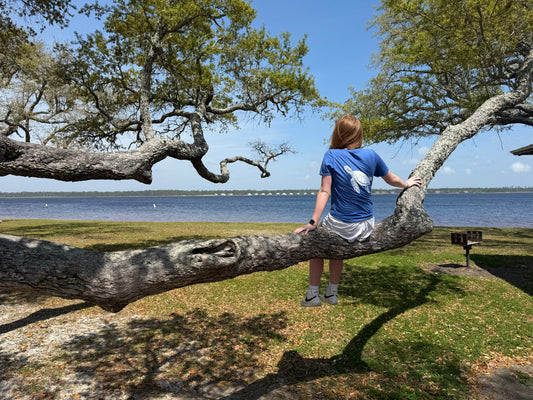 locAL Sea Turtle T-shirt